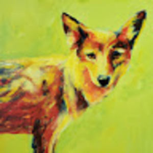 Meet your Posher, Jesse